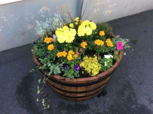 New pots planted at St Patrick\'s